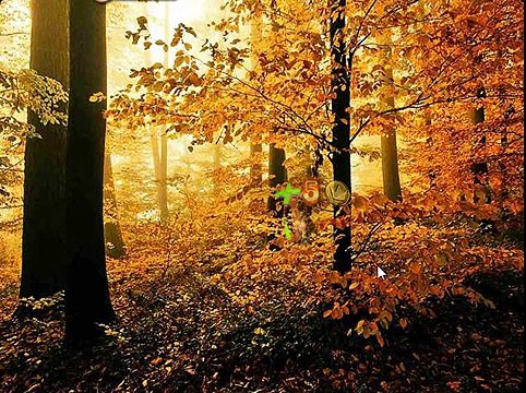 Игра Найди собаку 146, 147, 148, 149, 150 уровень - ВКонтакте - Ответы, подсказки, прохождение