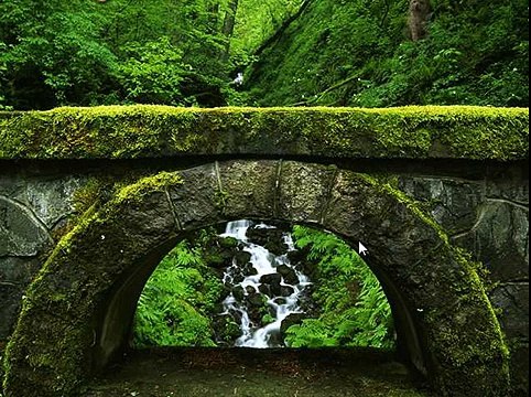 Игра Найди собаку 121, 122, 123, 124, 125 уровень - ВКонтакте - Ответы, подсказки, прохождение