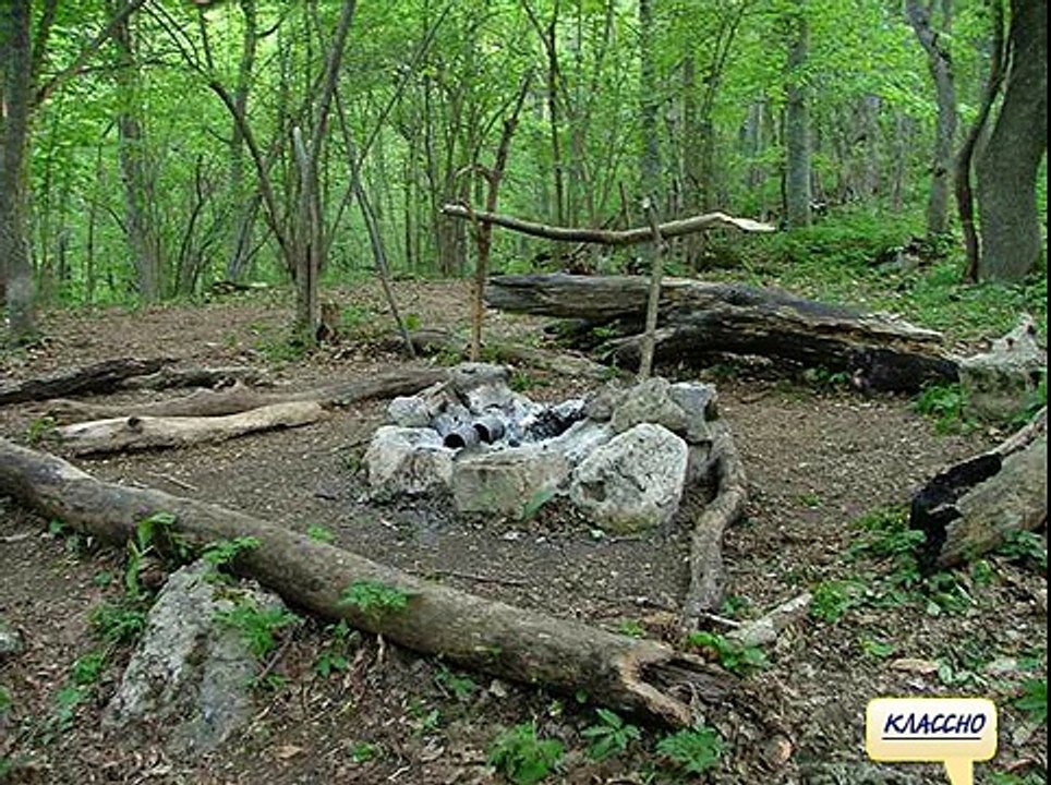 Игра Найди собаку 116, 117, 118, 119, 120 уровень - ВКонтакте - Ответы, подсказки, прохождение