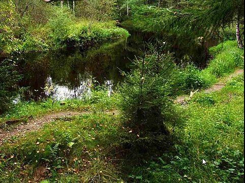 Игра Найди собаку 111, 112, 113, 114, 115 уровень - ВКонтакте - Ответы, подсказки, прохождение