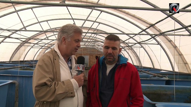 Sélection tosai 2016 aux étangs d'Occitanie