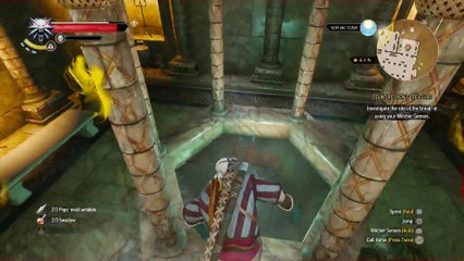 THE WITCHER 3 WALKTHROUGH PART 89 - COUNT REUVEN'S TREASURE