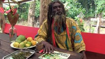 Moses James lives in Zion Valley on the island of Dominica where he receives guests who are interested in experiencing the Rasta way of life