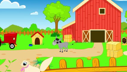 Köpeğim Hav Hav der - Köpeğim benden ne ister - Çocuk Şarkıları 2015