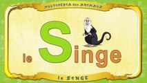 Multipédia des animaux. La lettre S le Singe