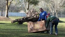 The Lion King Cast Meets The Lions Of Big Cat Rescue