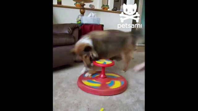 ᴴᴰ Tchoupi ► Compilation De Tchoupi et Doudou En Français HD 201 E0 T'choupi et DouDou