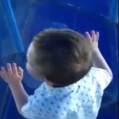 Took my son to the mirror maze, he wanted to lead