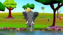 Dinosaur Cartoons Finger Family Nursery Rhymes For Children | Elephant King Kong Finger Family