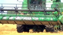 JOHN DEERE T670 à la moisson du blé en 2010