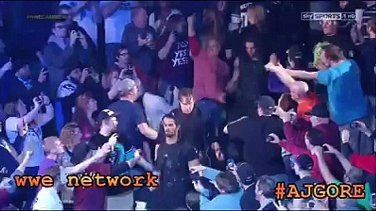 WWE The Shield Vs The Wyatt Family - Elimination Chamber 2014.mp4