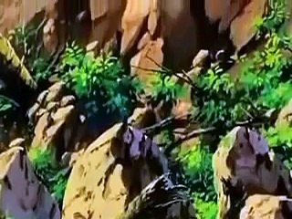 Family Guy - Wheres My Money! - Dragon Ball Z