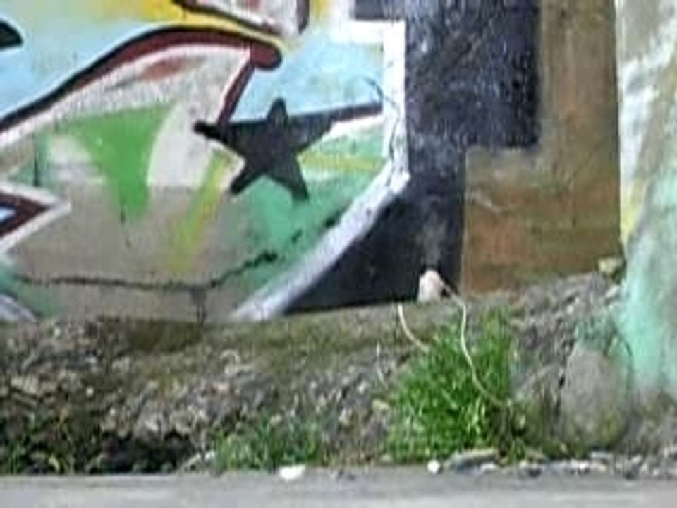 IMGP1372