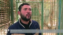 In Gaza zoo, empty cages and lonely animals as closure looms