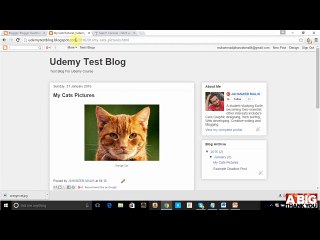 304 Getting BlogBlog-Posts Indexed With In Seconds - How to Eran With Blog