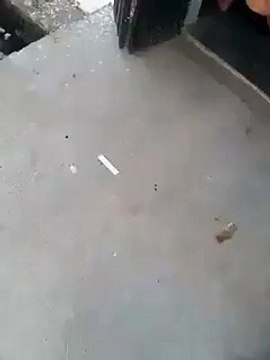 VID-20151123-WA0018