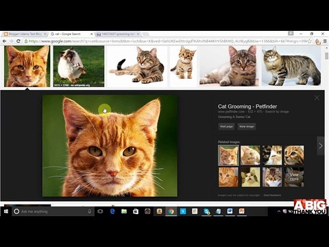 201 SEO Optimize Post Images - How to Eran With Blog