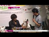 [Y-STAR] 3 honorary ambassadors for animal festivals (김민준 오연서 갈소원, 동물영화제 홍보대사 발탁)