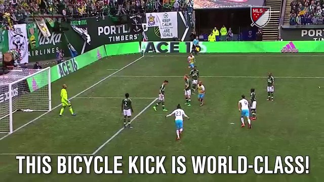 Federico Higuain bicycle kick goal was amazing, but Nat Borchers' reaction was even better