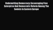 Download Underwriting Democracy: Encouraging Free Enterpirse And Democratic Reform Among The