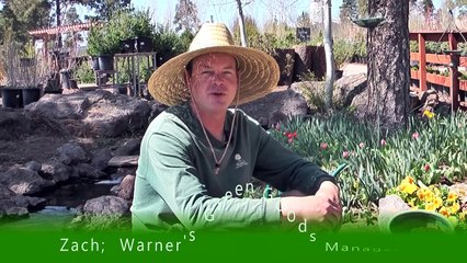 Warner's Nursery Bare Root Plants