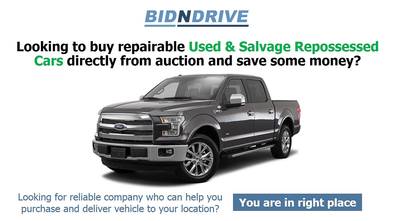 BidnDrive Repossessed