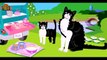 catGarden - Baby games - Jeux de bébé - Juegos de Ninos # Play disney Games # Watch Cartoons