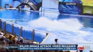 SeaWorld releases video of 2006 killer whale attack