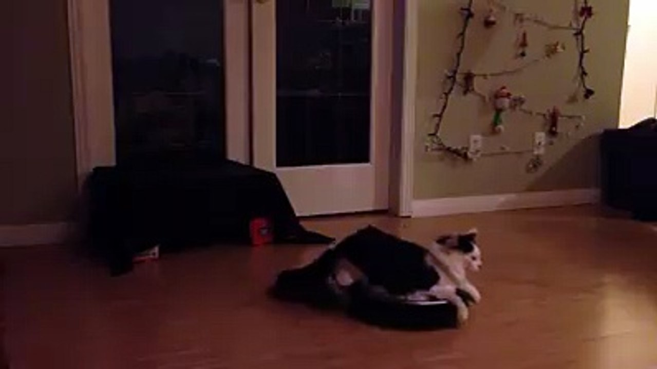 Forward, my mighty steed