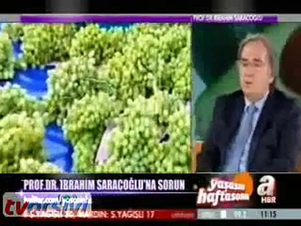kireçlenme nedir tedavisi nedenleri bitkisel tedavi ibrahim saraçoğlu çınar yaprağı kürü şifalı
