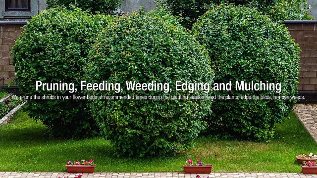 Shannon Landscaping: Keeping Lawns Healthy and Appealing