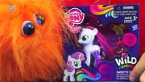 My Little Pony Friendship is Magic Wild Rainbow Sweetie Belle Review [Hasbro] [Target exclusive]