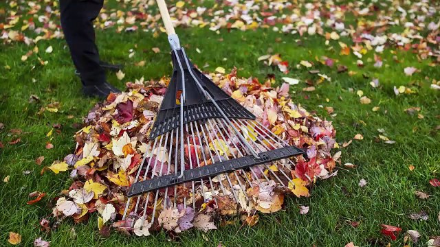 Shannon Landscaping: Creating The Best Lawns