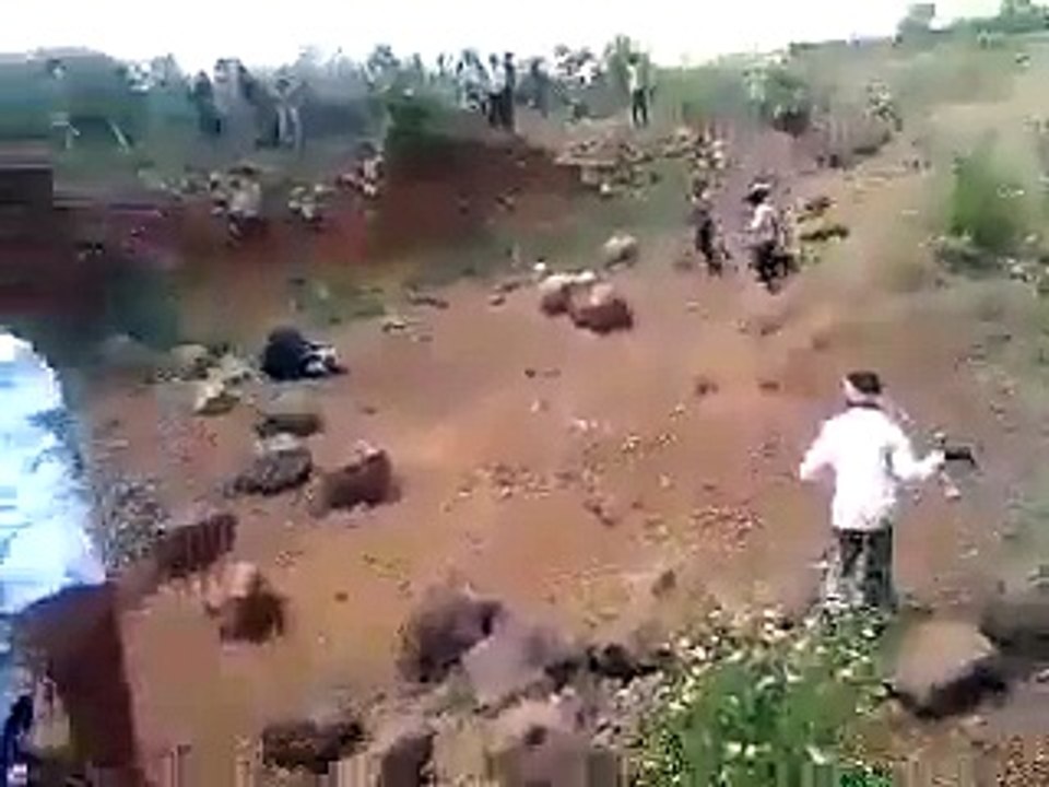 Bear Attack On Man