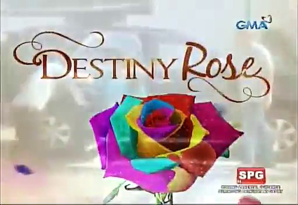 Destiny Rose: Destiny fights back