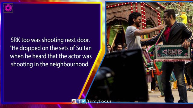 Shah Rukh Khan Cameo in Sultan Movie || Salman Khan, Anushka Sharma - Bollywood Focus