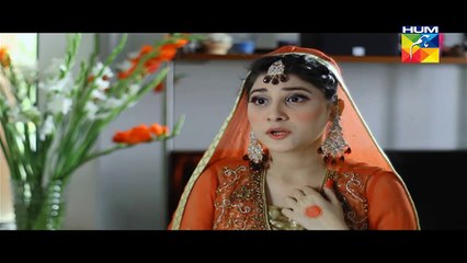 Ek Thi Misaal Episode 31 Full HUM TV Drama 28 Dec 2015