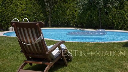 Reasons For Entrusting Your Property To Archer Services