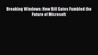 Download Breaking Windows: How Bill Gates Fumbled the Future of Microsoft PDF Free