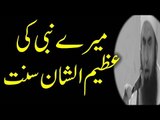 Mere nabi ki azeem usshan sunnat by Maulana Tariq Jameel