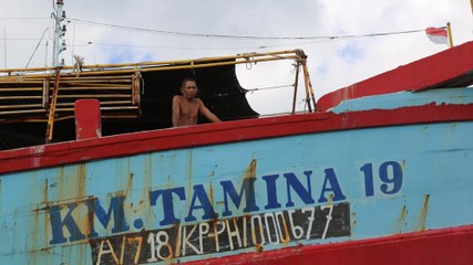 Fault Lines - Seafood Slaves