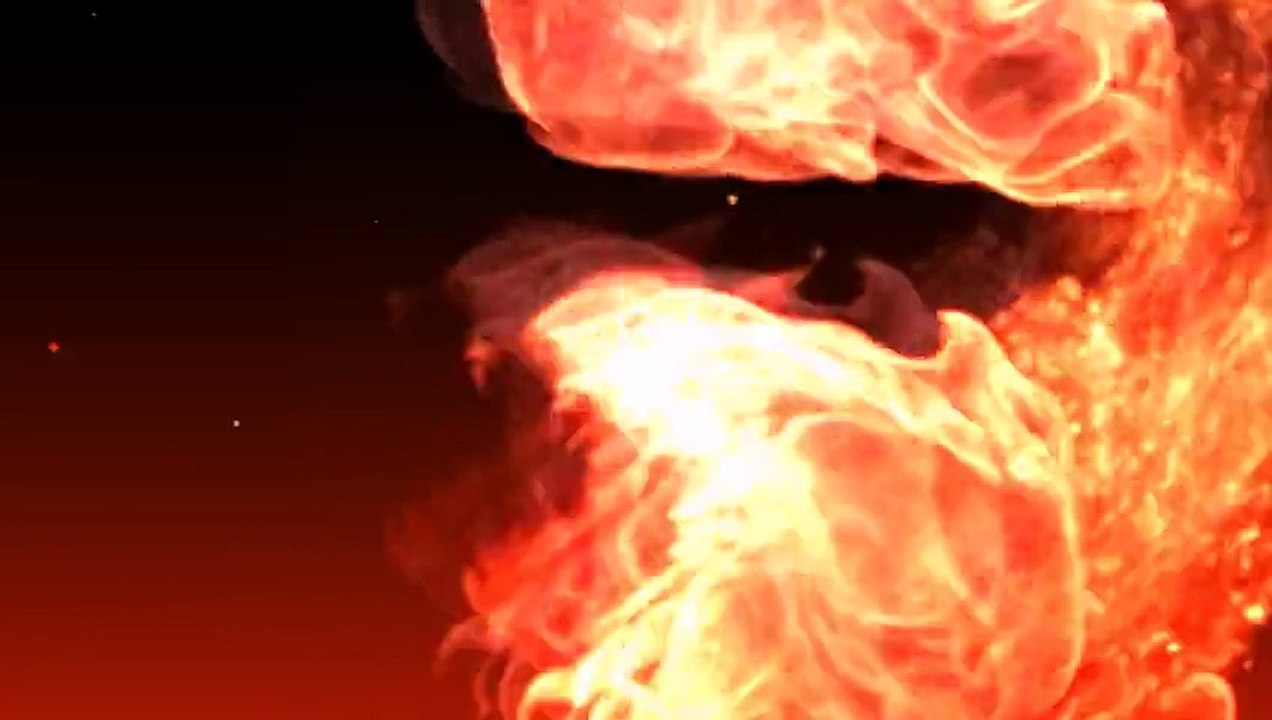 Police K9 Puppy In Training Apprehends Fleeing "Suspect"