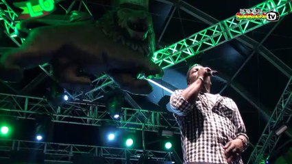 CHAKA DEMUS & PLIERS live @ Main Stage 2013