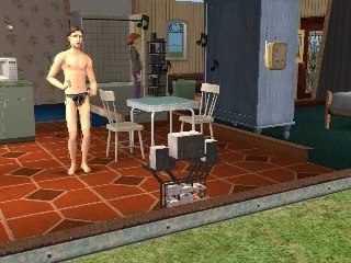 The sims 2 xfiles