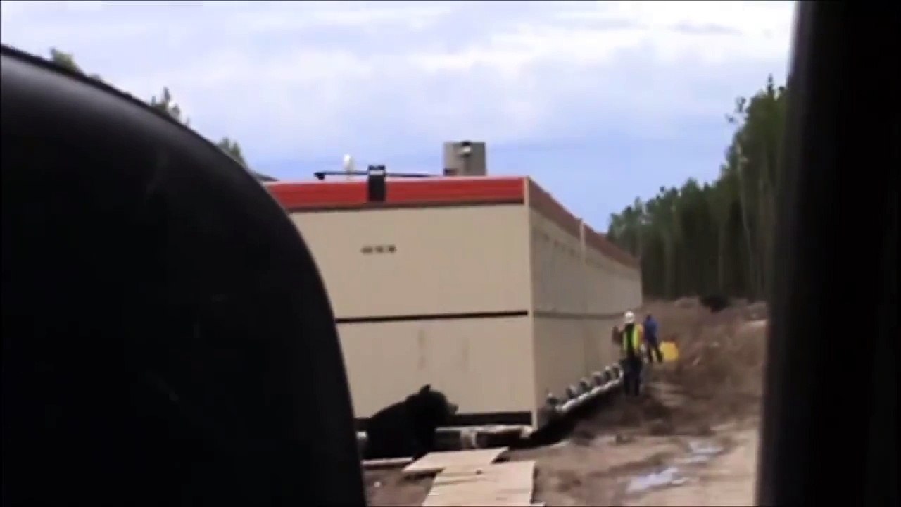 The Fastest Man Alive