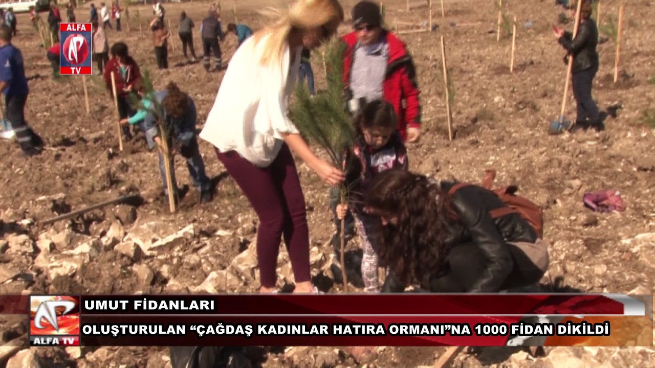 Umut Fidanları