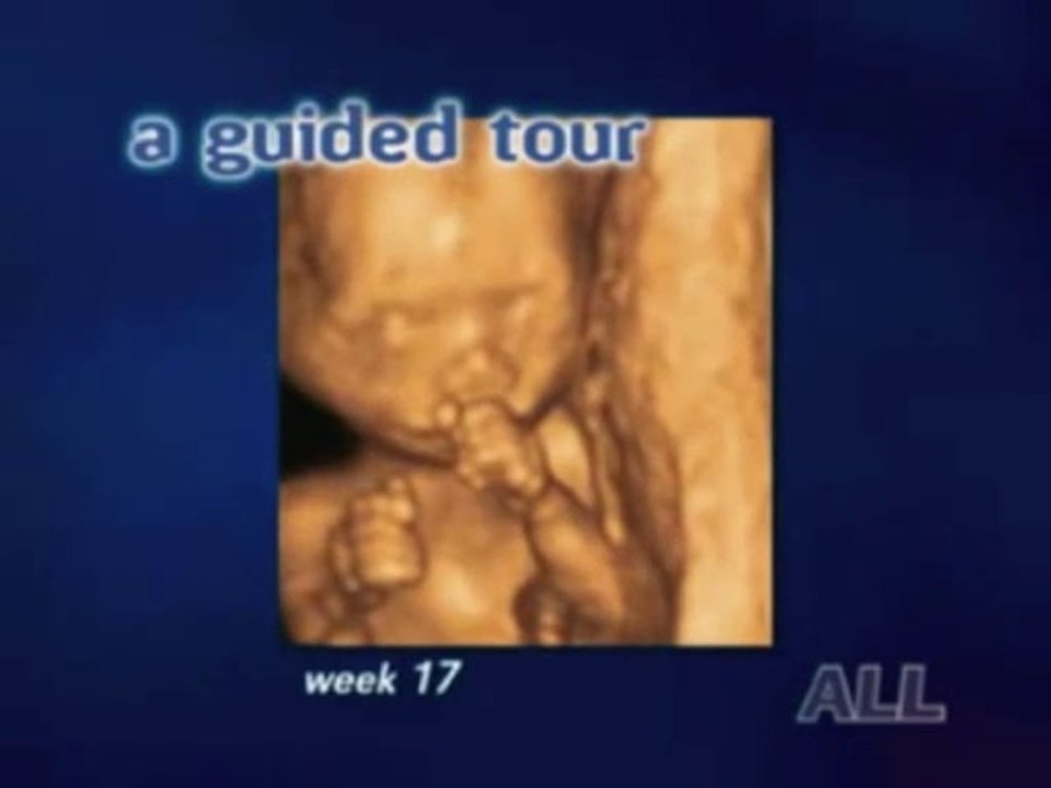 Le guide de suivre le bebe
