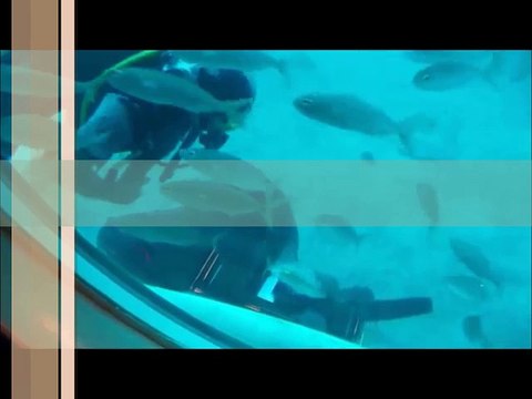 Antalya Submarine Tours Excursions Trips Prices