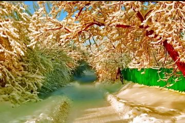 Ek Zamindar ki qabar bichu se bari thi by Maulana Tariq Jameel