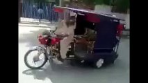 Very Amazing And Funny Pakistani Rikshaw Bike Stunt On Road Official in HD very funny videos